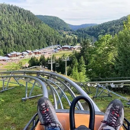 Hébergement de vacances De Montagne Les Ecorces La Bresse