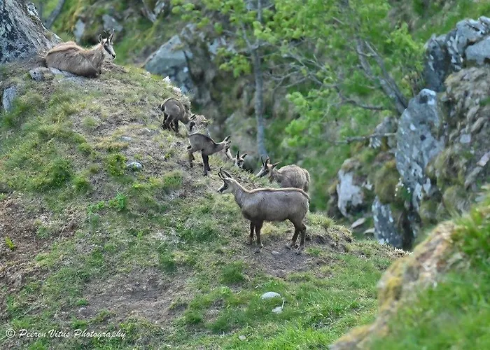 Prázdninový dům De Montagne 